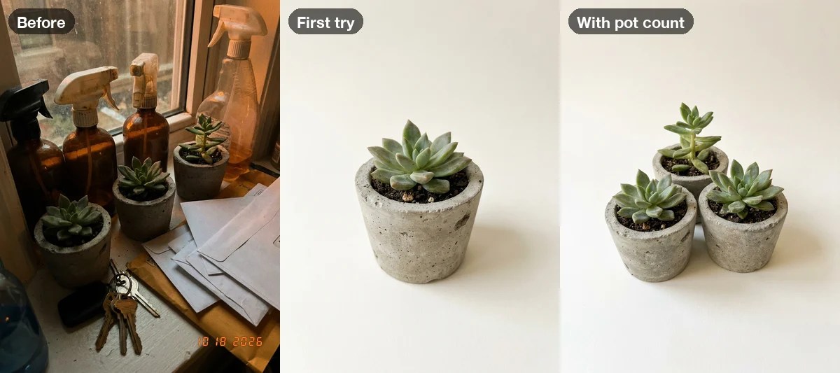 Three panels: the original windowsill photo with three succulents, the first background edit showing only one pot, and a rerun showing three pots again
