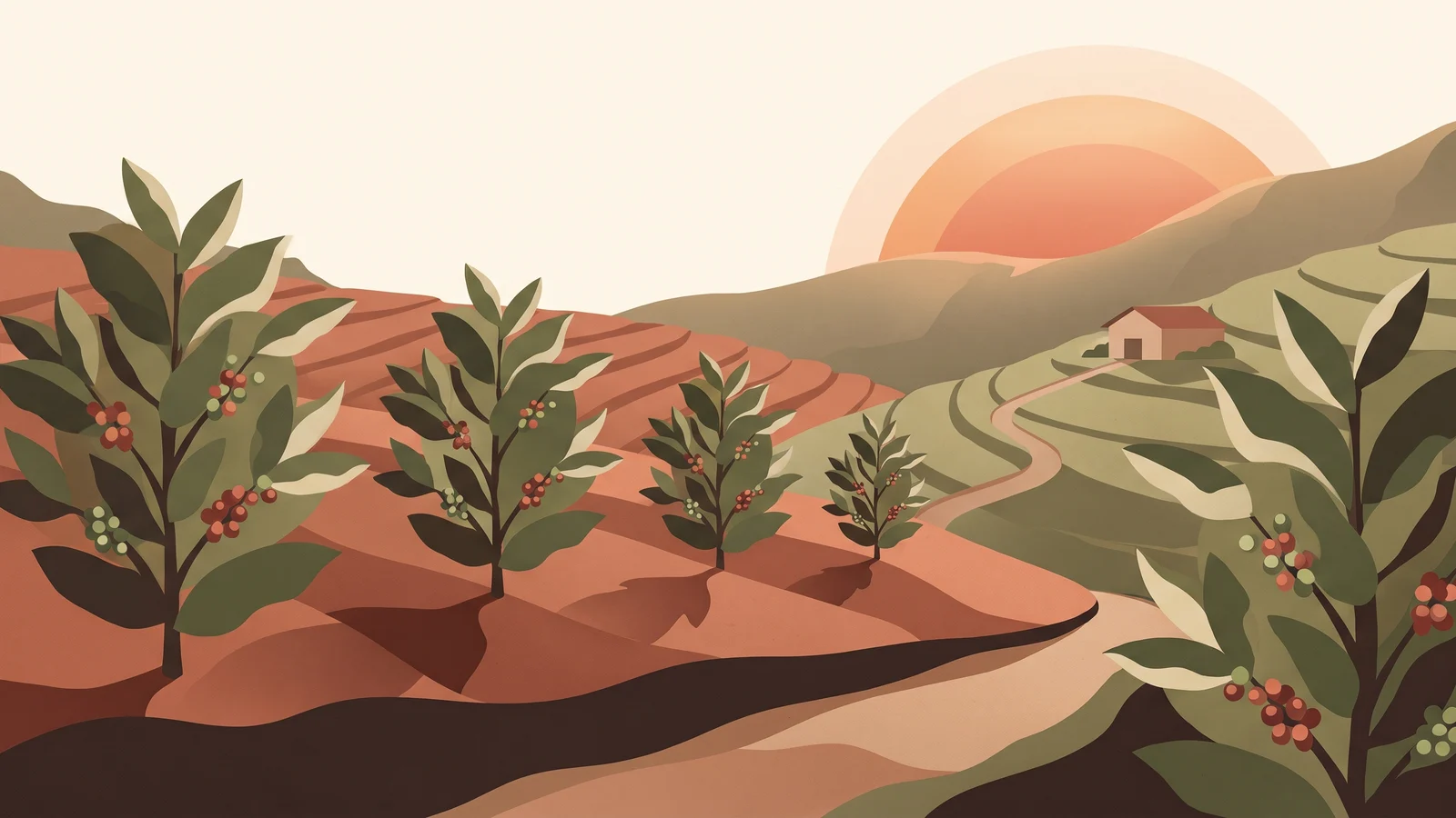 Frame 1 of the test video: a flat 2D illustration of coffee plants with red cherries on terraced terracotta hills at sunrise, a small farmhouse and a winding path