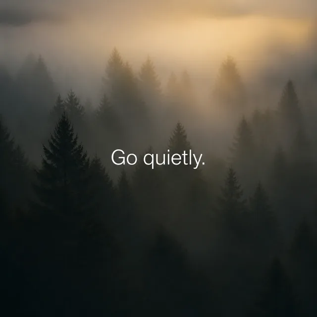 Photo — 1